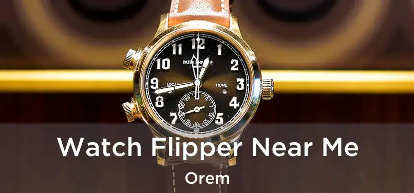 Watch Flipper Near Me Orem